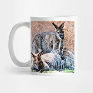 Wallaby Mates Mug